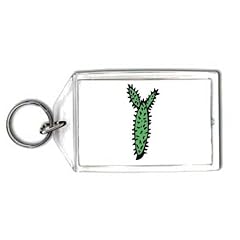 Schl�sselhalter mit der Grafik: Sukkulenten, stachelig, Pflanze, leafless, "Vereinigte Staaten", dornig, spiny, Wasser, Cactus, "s�dwestlichen W�ste"