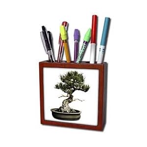 Boehm Photography Plant - Bonsai - Tile Pen Holders-5 inch tile pen holder