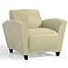 Mayline VCC1BLKA Santa Cruz Leather Lounge Chair, Black Paint, Almond Leather