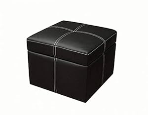 Delaney Small Square Storage Ottoman in Black,  by DHP (5153196)