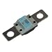 Blue Sea 5256 MIDI/AMI Fuse 100 Amp