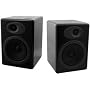 Audioengine 5 - PC multimedia speakers for iPod - 45 Watt (total) - 2-way - black