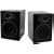 Audioengine 5 - PC multimedia speakers for iPod - 45 Watt (total) - 2-way - black