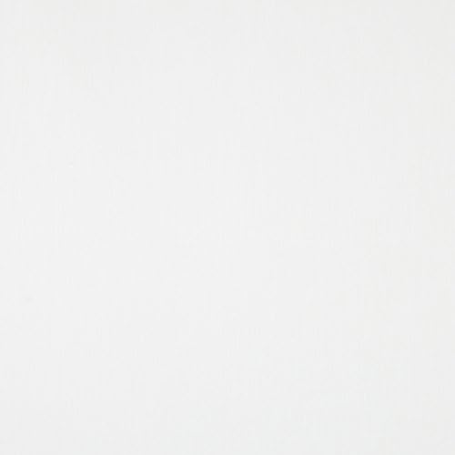 Roc-lonBudget Blackout 2 Fire Resistant Fabric - White - Sold By the Yard