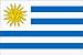 Uruguay Flag Polyester 3 ft. x 5 ft.