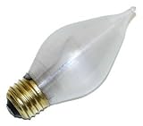 Westinghouse #03019 60W White Glowescent Bulb
