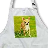 Dogs Chihuahua - Chihuahua - Aprons