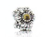 Montre-Pandora Element Bead Charm Silber 925/- 790580cig