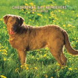 Chesapeake Bay Retrievers 2008 Square Wall