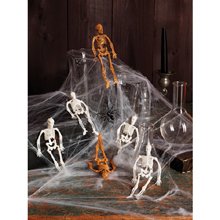 Mini Skeletons (Martha Stewart)