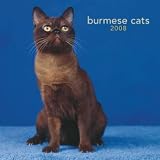 Burmese Cats 2008 Wall Calendar