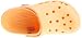 Crocs Junior/Youth Kids Baya Clog