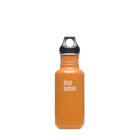 Klean Kanteen Stainless Steel Colored Water Bottles
