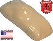 Buckskin Tan QUALITY ACRYLIC ENAMEL Car Auto Paint Kit