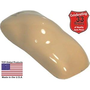Buckskin Tan QUALITY ACRYLIC ENAMEL Car Auto Paint Kit