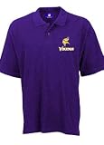 Minnesota Vikings Spiral Pass Big and Tall NFL Polo