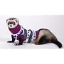 Marshall Ferret Sweater, Colors May Vary