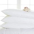 Cosy Nights Anti-Allergy 7.5 Tog Duvet/Quilt & Pillow, Cot Bed