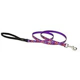 LupinePet 1/2-Inch Spring Fling 6-Feet Lead