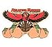 Atlanta Hawks City Pin