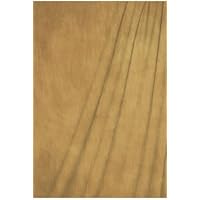 Savage 10x10 Infinity Hand Painted Muslin Background