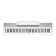 KORG SP-170S �ۥ磻��