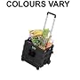 PACK 'N' GO LARGE FOLDING BOOT SHOPPING CART 35kg