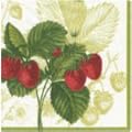 Les Fruits Dinner Napkins 20 Per Pack