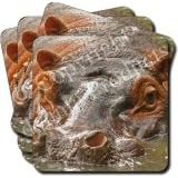 NEW-HIPPOPOTAMUS Hippo Set of 4 Coasters