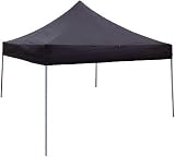 Sporting Goods : Canopy 10 X 10 Black