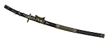 Review Gladius  / Gladius Katana, AISI 420, Dragon