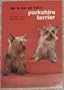 How to Raise and Train a Yorkshire Terrier (How to Raise & Train)
