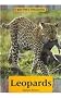 Leopards