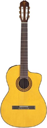 Childrens Toyshop  Musical Instruments : Takamine EC132C Classical Cutaway Nylon String Acoustic-Electric Guitar