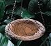 Rust Dragonfly Hanging Birdbath