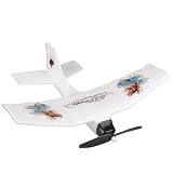 Ed Hardy 8 Special Edition R/C Single Wing Plane by Christian Audigier w/27MHz Remote Control (Fish Design)