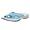 Bluegill