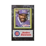 Andre Dawson Chicago Cubs 5x7 Card Plaque