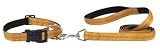 X-LARGE 26 IN - GOLD - Padded Nylon Dog COLLAR  LEAD SET