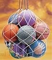 12 Ball Nylon Ball Bag Net Soccer Volleyball Basketball
