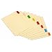 TOPS Cardinal Jumbo Insertable Index, Paper Dividers, Buff Paper, 8-Tab, Multi-Colored, (60848CB)