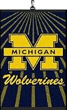 Michigan Wolverines Set of 2 Golf Towels