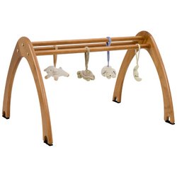 Cariboo Activity Gym - Teak by Gyms And Playmats