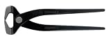 Crescent Carpenter's Pincers