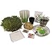 DuneCraft Water Plant Adaptations Exploration Science Fair Kit