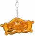 Nature's Instinct Rythemwise Silly Saucer Small for Parakeets, Cockatiels, and Similar Birds