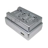 Lenmar SOLOXP-X15 Universal Li-Ion Travel Charger with USB Power Port for Panasonic CGA-S303, CGA-S007 and CGA-S005