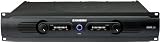 Servo 200 Professional Power Amplifier