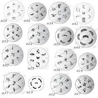 Boolavard Stamping Nail Art Kit Set Daccessoires Pour Manucure Pedicure Pour Dco Dongles Par Boolavard Eventail De 16 Plaques Dimages 