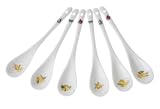 Nuova R2S - R8691,251 - Coffret 6 Cuillères Porcel - Citrons - Porcelaine